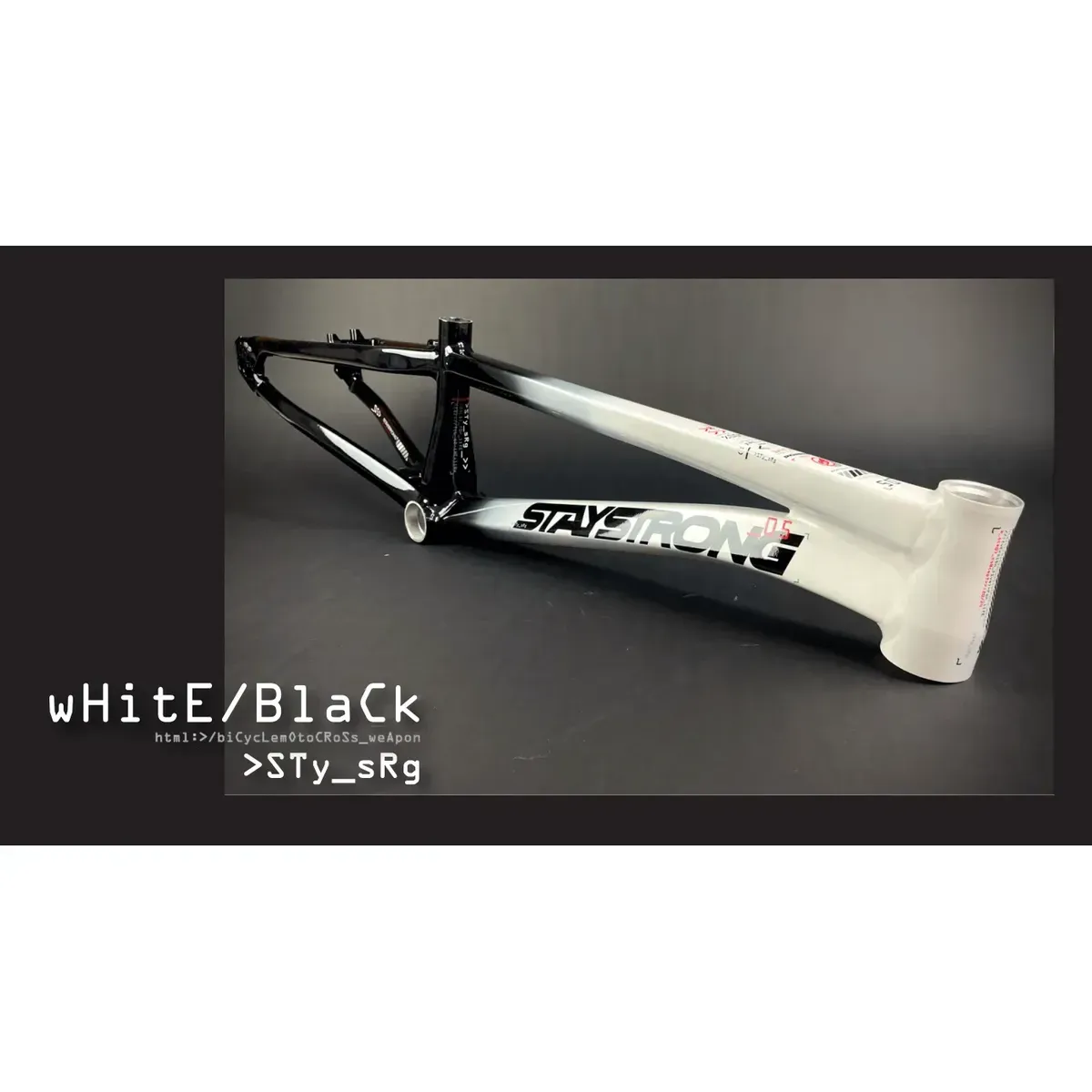 Stay Strong V5 2024 Disc Only Frame White/Black